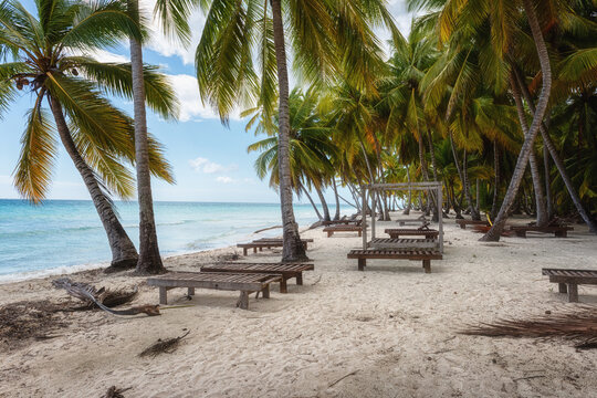 Abandoned tropical paradise beach resort due to covid 19, located at the beautiful place of the Atlantic coast in the coconut palm forest, Saona island, Dominican Republic