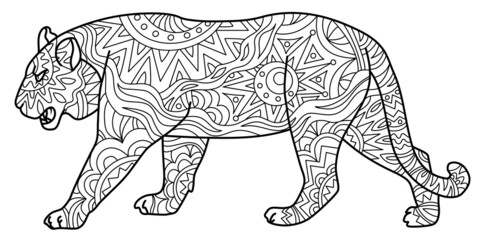 Tiger - summer. Coloring book for adults.