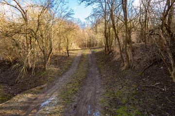 Fototapeta premium Winter landscape without snow 