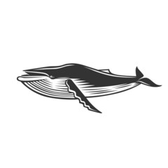 Whale. Black and white illustration.