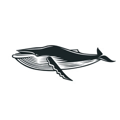 Whale. Black and white illustration.