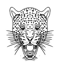 Tattoo tribal leopard graphic design vector art