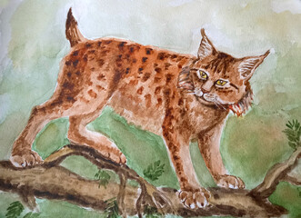 Lynx on a tree. Watercolor hand drawn illustration, realistic.