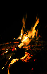 Big beautiful bonfire on black background. Real fire flames. Burning. Ignited. Night campfire. Orange color. Nature landscape. Outdoors recreation. Autumn garden cleaning. Hot. Close-up side view.