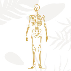 skeleton in one line, outline on an abstract background, vector, isolated
