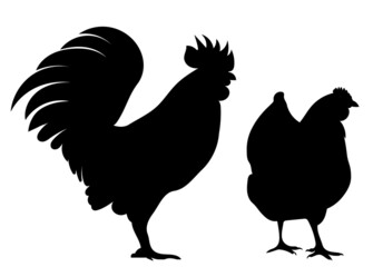 chicken, rooster silhouette ,on white background, vector