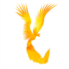 phoenix bird watercolor silhouette ,on white background, vector