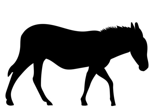 donkey silhouette ,on white background, vector