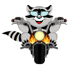 The biker raccoon. Vector illustration of a tiger motorcyclist.