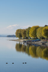Obraz premium Bodensee, Herbst am Ufer von Allensbach