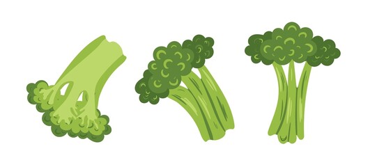 Broccoli isolated on white background. Fresh green broccoli  for diet and healthy eating.Organic food.