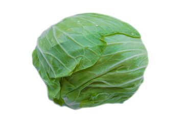 Fototapeta premium Fresh cabbage vegetable isolated on white background. Concept : organic healthy food ingredient for cooking that can cook for variety menu. Agriculture crop from Thailand. 