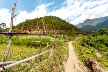 Fototapeta na wymiar Rural scenery with rice fields in a valley near Punakha in Central Bhutan, Asia