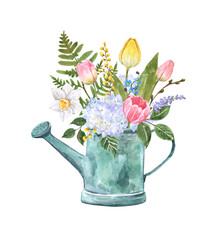 Watercolor floral arrangement in a watering can. Hand painted spring flowers bouquet illustration, isolated on white background. Bunch of pink and yellow tulips, greenery. Easter card design. © Anna Nekotangerine