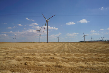 Rural landscape in Murge, Apulia, near Minervino