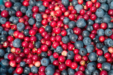 Background of blueberries and lingonberries