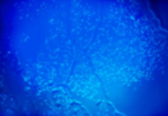 Underwater Background, Blue Water Backdrop. Aqua Marine Abstract Nature.