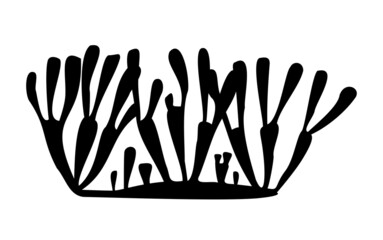 coral reef silhouette on white background