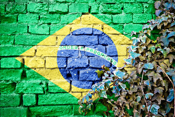 Brasil grunge flag on brick wall with ivy plant