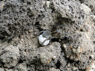 stone in the sand