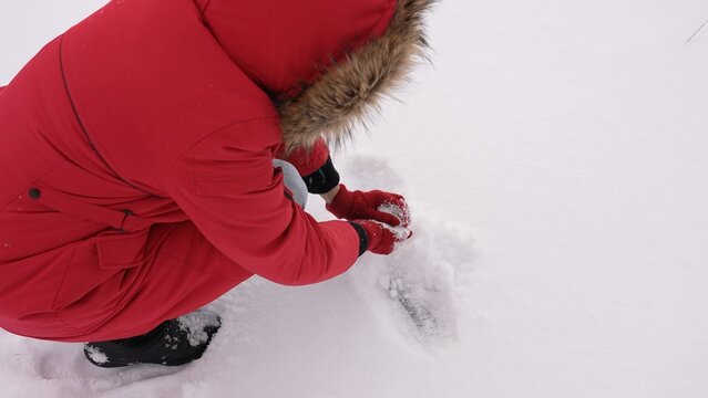 Close-up top view stock image of unrecognizable woman picking up fresh white snow from ground to make snow balls. Female hands in warm red gloves making white round snowball outdoors. Christmas fun
