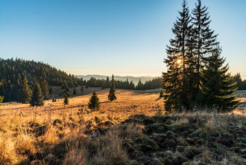 Autumn evening on Stredna polana bellow Velky Choc hill in Slovakia © honza28683