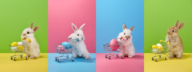 Collage with Easter bunny rabbits holding shopping basket with eggs and candies - 484874054