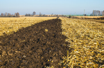 Autumn plowing of corn field for sowing winter wheat