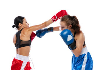 Dynamic portrait of two female professional boxers boxing isolated on white studio background....
