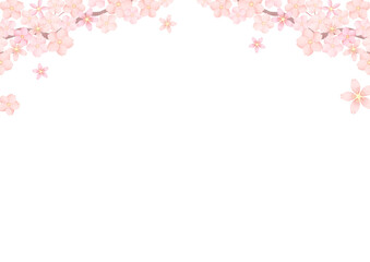 桜 さくら サクラ 背景 