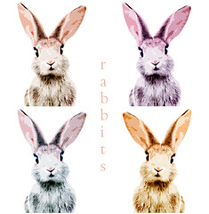 rabbit drawing, rabbit textile printing,  rabbit t-shirt printing