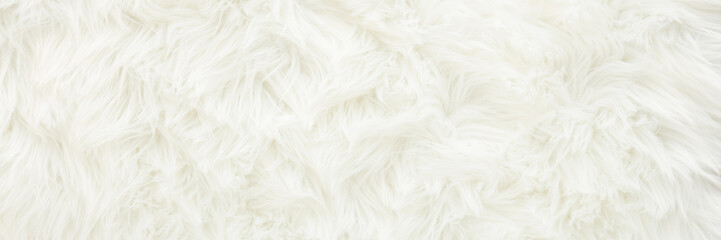 Light white fur background. Empty place for text. Wide banner. Top down view.