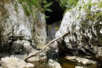 Entrance of Reka river at low water flow into Skocjan caves in municipality of Divaca in Littoral region of Slovenia