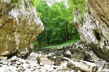 Dry riverbed of Reka river at the entrance to the Skocjan caves in municipality of Divaca in...