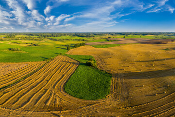 Obraz premium Żniwa na Warmii w północno-wschodniej Polsce