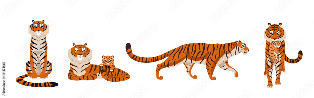 Canvas Prints tiger set