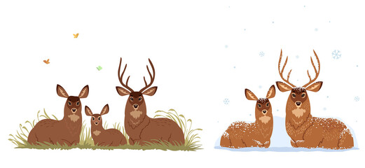 deers family