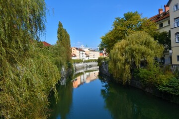 Fototapeta na wymiar Ljubljanica river canal in Ljubljana city in Slovenia