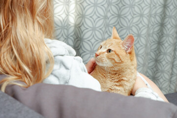 A woman after a bath in a warm bathrobe sits on a sofa with a cat. Red cat in the hands of a girl. Beautiful ginger tabby cat. Animals and lifestyle concept.