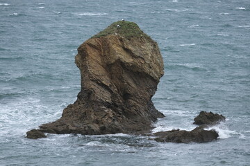 Visual variety observed on the French coast, Bretagne, Finistere. (West); focusing on rocky...