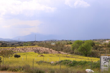 Campos de cultivo