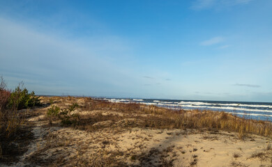 Fototapeta na wymiar View from the dunes by the beach in Sobieszewo 