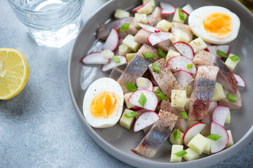 Closeup of salad with herring fillet, chopped radish, apple and boiled chicken egg served in a grey plate