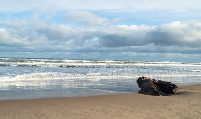 A tree log was washed up on the beach by a storm 