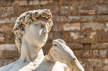 Michelangelo's David statue located in Piazza della Signoria in Florence, Italy.