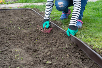 Create lawn edge in the garden