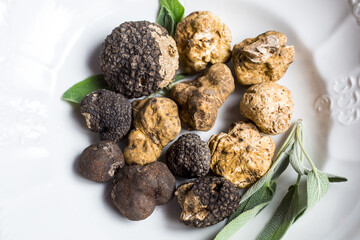 Group of delicacy white and black truffles