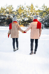 Back view of man and woman walking by winter forest