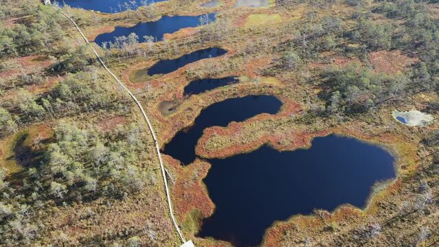 Drone aerial view to wooden hiking path on Estonian Viru Raba bog. Moving down