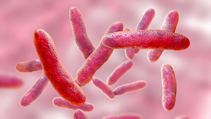 Bacteria Sphingomonas, 3D illustration - obrazy, fototapety, plakaty